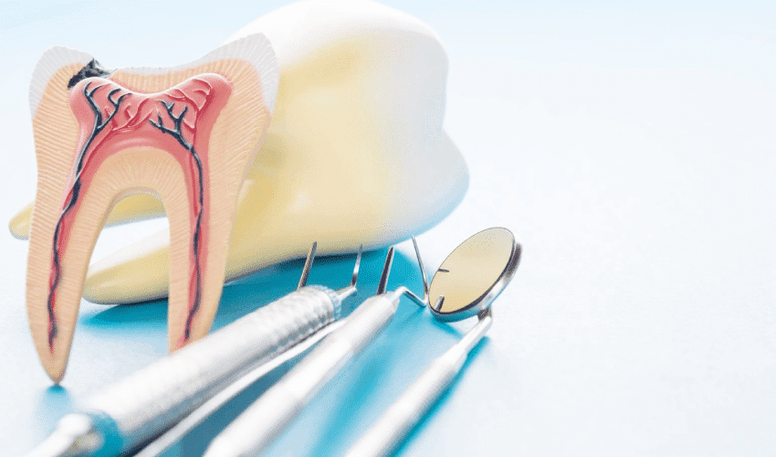 Endodontic treatment from a trusted dentist and endodontist in Elgin, TX.